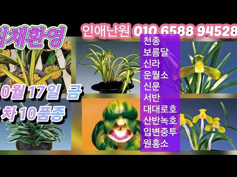 유튜브 썸네일