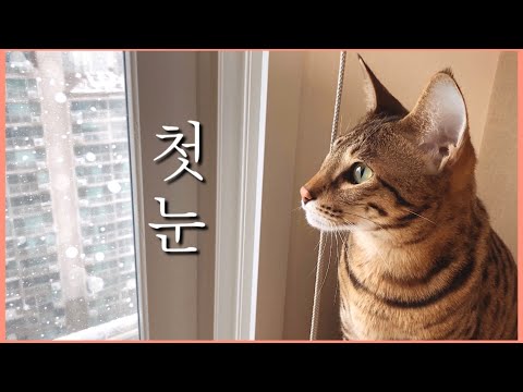 아이콘