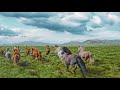 Pixabay Com Videos Copyright Free Videos 4k HD