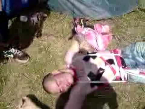 Force Attack 2009 Frettchen TOTAL besoffen ;D