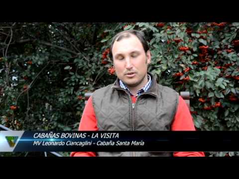 Cabañasbovinas.com - Visita a Cabaña Santa María