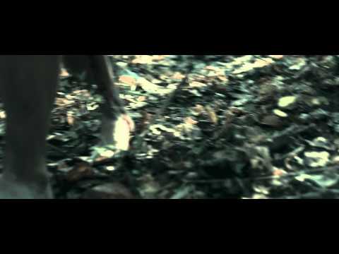 I Spit On Your Grave (2011) Trailer