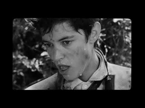 Les Garçons sauvages