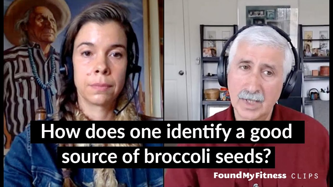 How does one identify a good source of broccoli seeds? | Jed Fahey