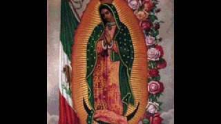 Adios Reyna del Cielo-Alabanzas a la Virgen de Guadalupe con Mariachi