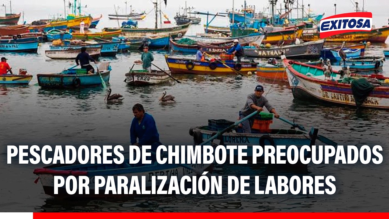 🔴🔵 Pescadores de Chimbote preocupados por paralización de labores ante Fenómeno El Niño