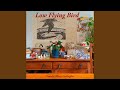 Low Flying Bird