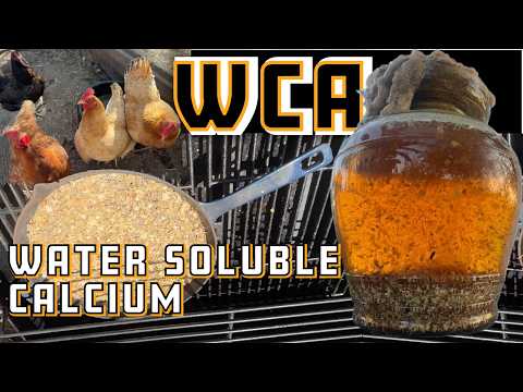 WCA's Water Soluble Calcium: Boosting Plant Health