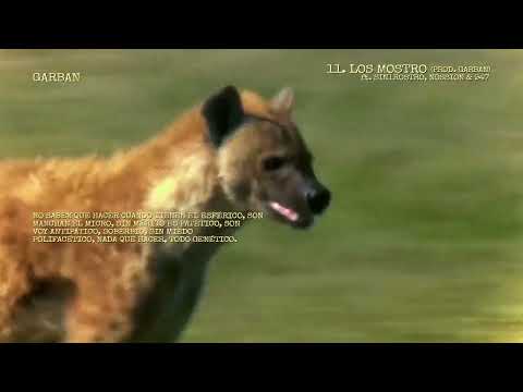 11 - GARBAN -  LOS MOSTRO FT. SIN1ROSTRO, NOSSION & 947 (PROD. GARBAN)