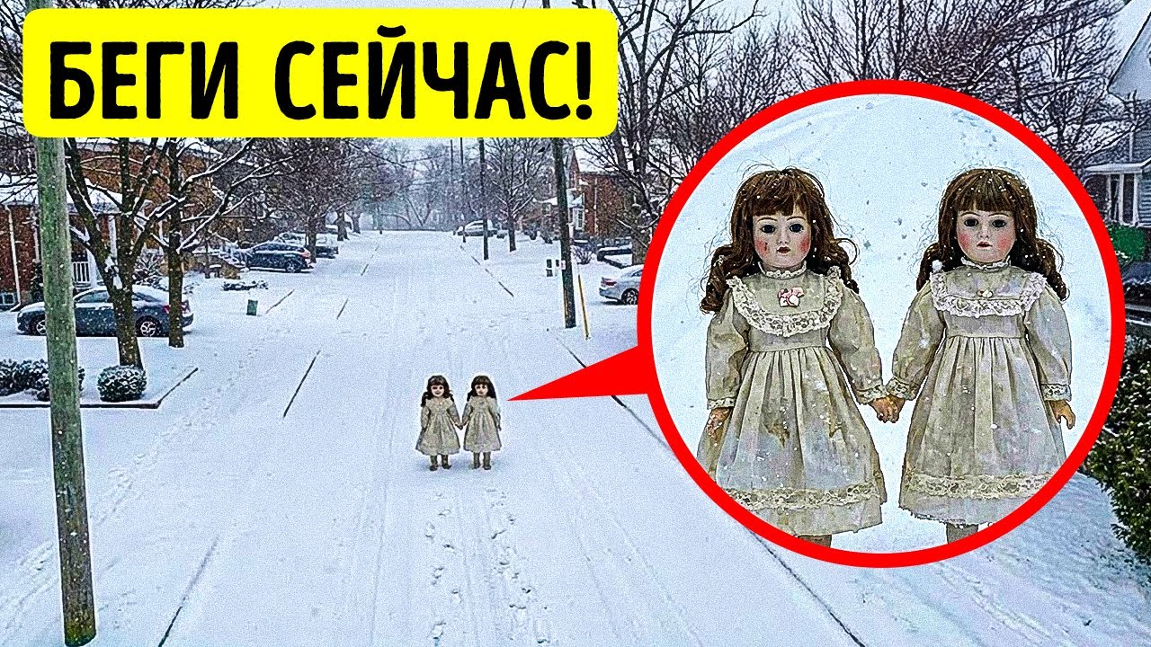 Если вы видите это на дороге, бегите без раздумий