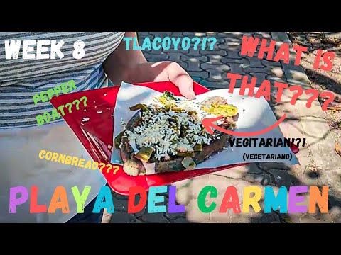 What is the BEST Street Food in Mexico??? - Week 8 Playa Del Carmen/Cancun Mexico