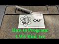Programming The Quantum Chimera Driver In The CWF Mini Arc