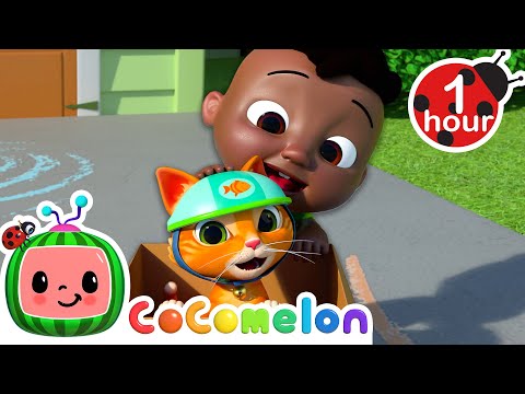 This Box Rocks! Look at all the things it can be! | Cody Time | Moonbug Kids - Fun Zone