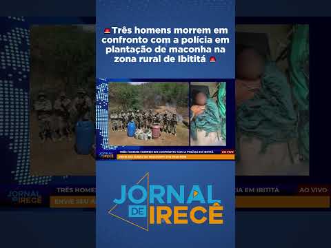 🚨Três homens morrem em confronto com a polícia em plantação de maconha na zona rural de Ibititá🚨