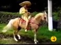 Vicente Fernández   Conoci a tu Esposo