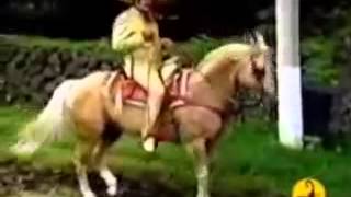 Vicente Fernández   Conoci a tu Esposo