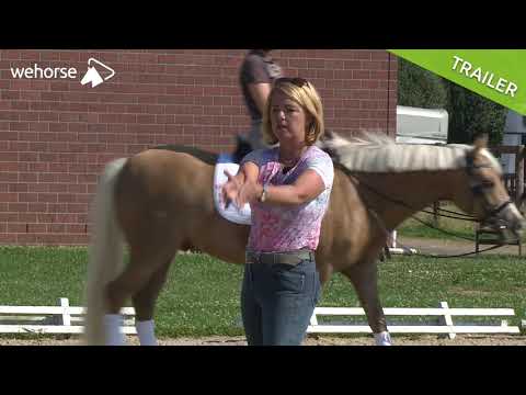 Wie reite ich Serienwechsel? Darauf musst du achten! | Dr. Britta Schöffmann