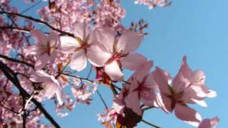 Saint Etienne - Spring (Air France Remix)