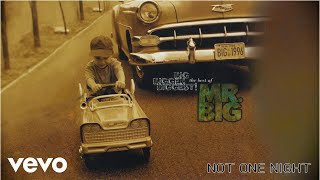 Mr. Big - Not One Night (audio)