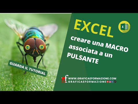 EXCEL: Create a MACRO associated with a button