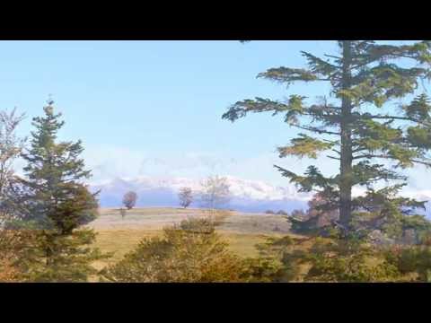 Gărâna TOAMNA 2013