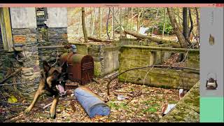 Finding Alina Walkthrough