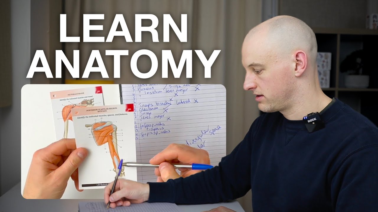 How To Study ANATOMY So You Remember Everything - With Demo