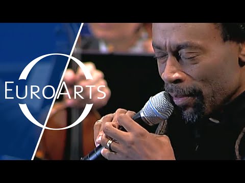 Improvisation by Bobby McFerrin (Full Performance) | "Swinging Bach" Part 18/24