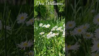 💘Catfish Bates💘Don Williams #shorts @Chantertracks #donwilliamssongs #countrysongs