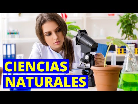 What are the natural sciences and what do they study? Branches, importance and examples👩‍🔬