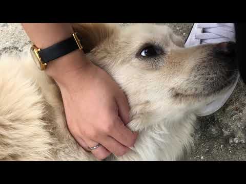 马赛克-霓虹甜心 (mosaic-darling) 1 hour