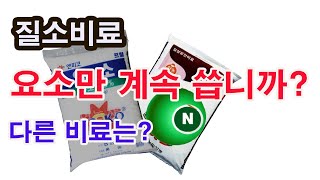 질소비료... 요소비료만 씁니까? 다른 비료는 쓰지 않으십니까? (질소 비료가 토양에 흡수되는 과정, 작물이…