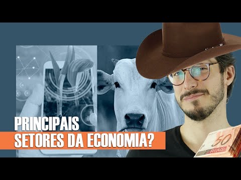QUAIS OS PRINCIPAIS SETORES DA ECONOMIA BRASILEIRA? | MANUAL DO BRASIL