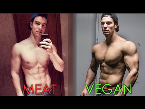 挪威健身帥哥破解純素飲食迷思 (Why I Got Bigger & Stronger Going Vegan)