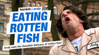 Eating Rotten Fish   Hamish   Andy