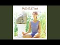 Meditation - Part 8