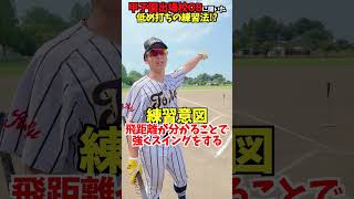 甲子園出場校が教える低め打ちの練習法... 😂😂😂 #shorts #野球 #funny