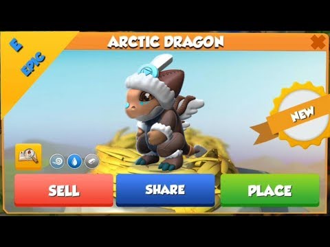 Epic ARCTIC DRAGON Hatching! Holly Days Event Tier 10! - DML #705