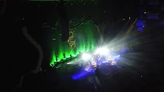 David Gray - The Sapling live at the Royal Festival Hall