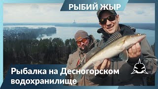 Ловля леща летом на десногорском водохранилище