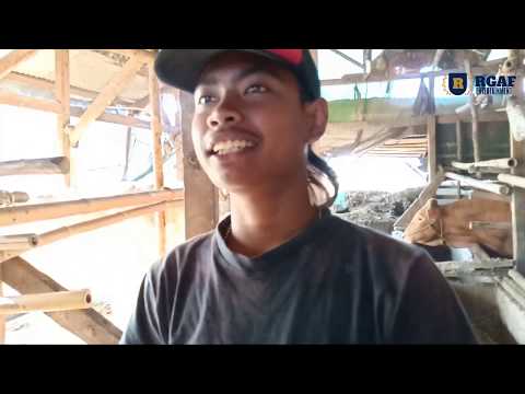 JURAGAN EDAN !!! Episode : Qurban , film pendek seruuuu banget.