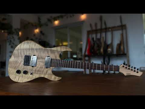 New Guitar Model. -  The Dunvegan (Super Strat)