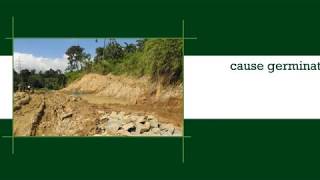 The Causes and Effects of Soil Erosion