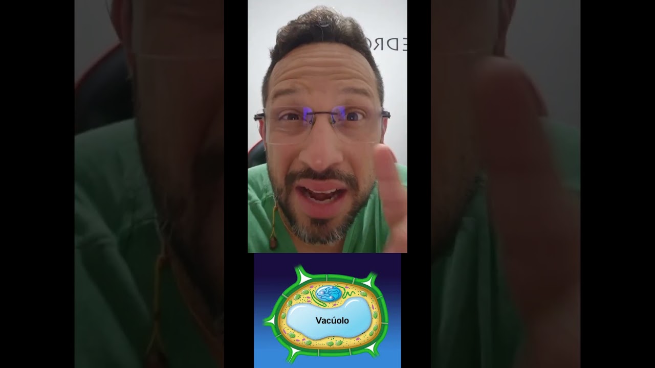 Vacúolo - Dica 30 - ENEM 2024