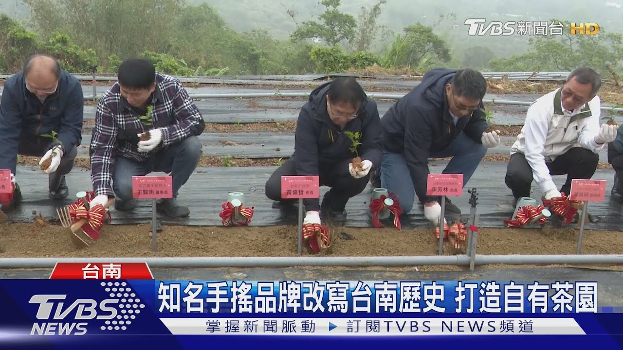 改寫台南茶業歷史！知名手搖品牌打造自有茶園