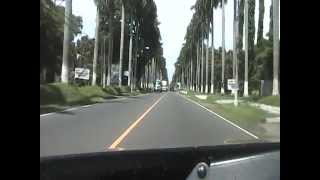 Calzada las Palmas