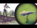 Fish Hunting With PCP Arrow Gun Scope Cam