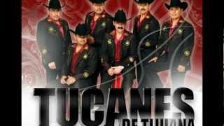 Los Tucanes de Tijuana - El Comandante Hummer