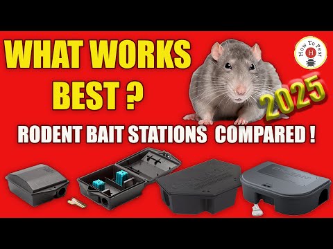 Best Rodent Bait Stations 2025 🧰 Side-by-Side Test – Protecta vs EZ Klean vs Landscape vs Sidekic