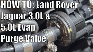 Land Rover / Jaguar 3.0L 5.0L  Evap Purge Regulator Valve Replacement. Fix evap leaks fast and easy.